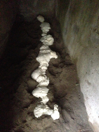 andrea viviani, viviani pittore